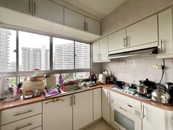 Pandan Valley (D21), Condominium #497311561